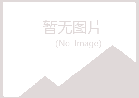 兴山区笔调木材有限公司